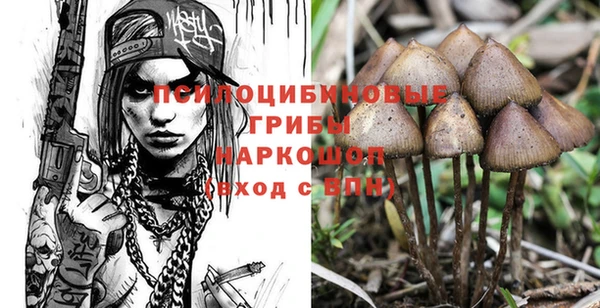 хмурый Арсеньев