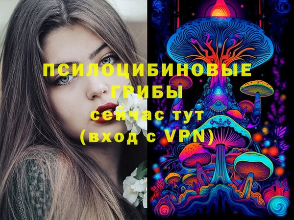 соль курить ск Алексин