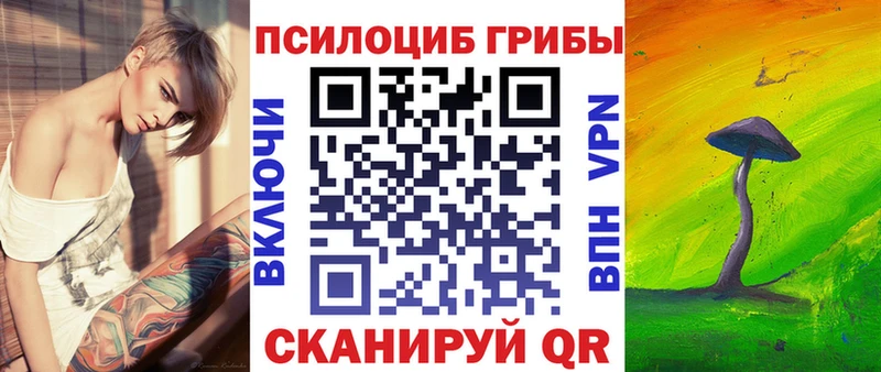 Галлюциногенные грибы Psilocybe  Бабаево 